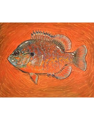 DeYoung Canvas Prints 20x16 in Pumpkin Seed Orange